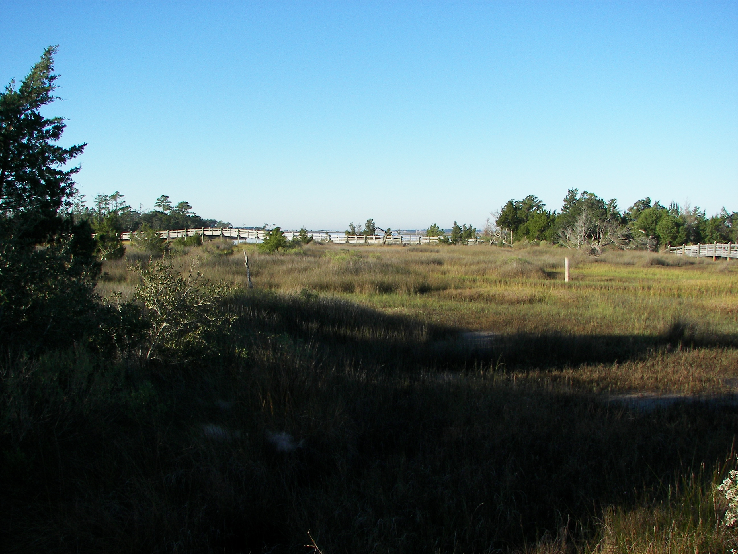 ./2006/Cedar Point/100_1356.JPG